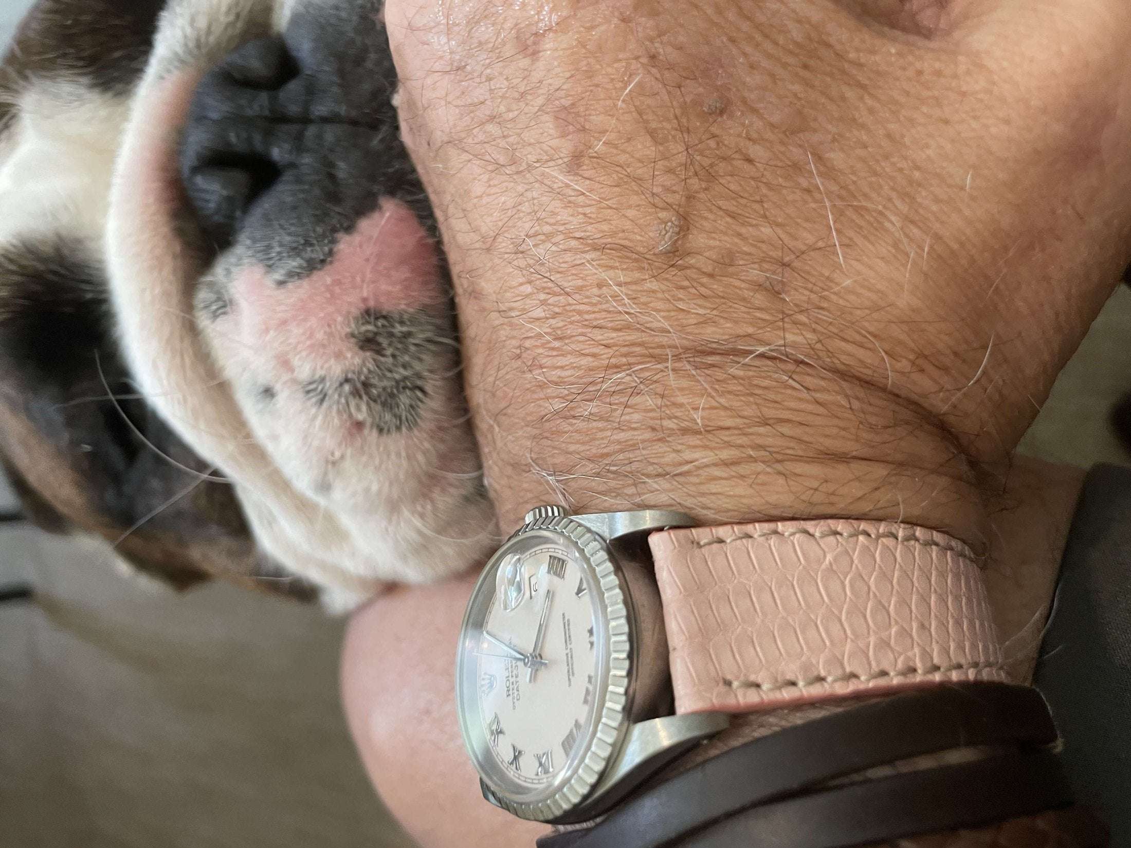 Pink Lizard Watch Strap - Leather strap- Milano Straps